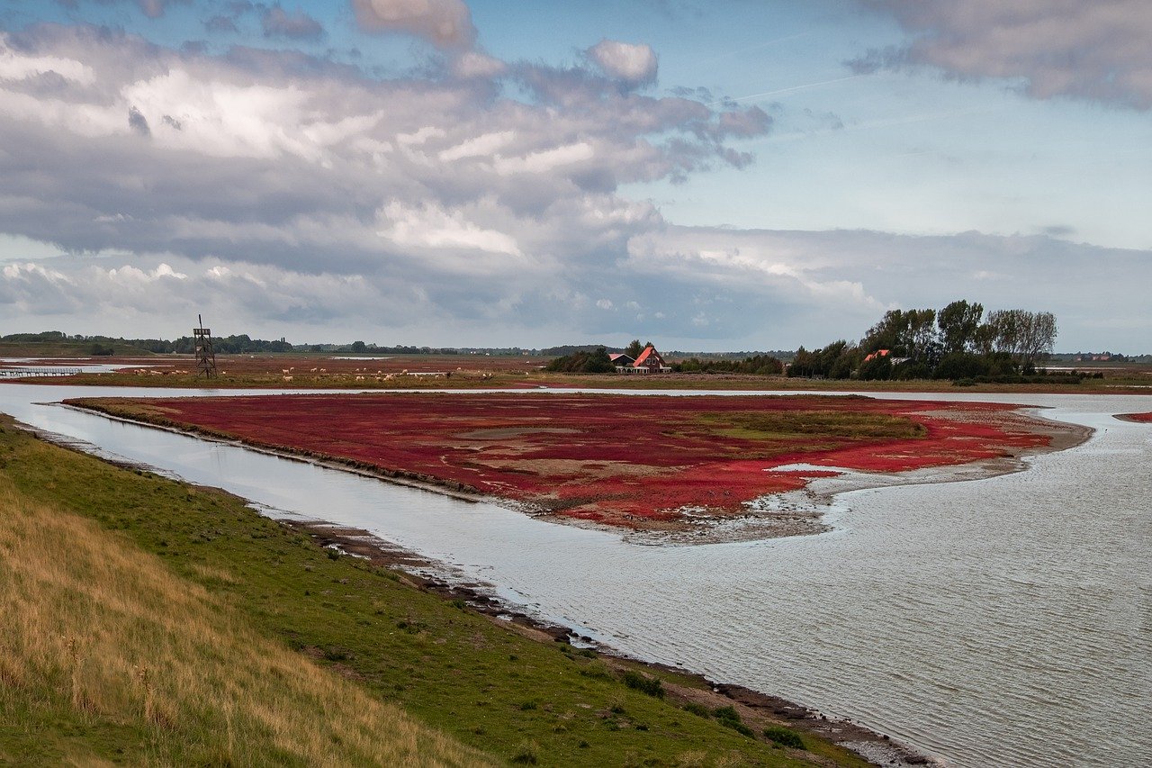 Meetpunt is working on a project to strengthen dikes