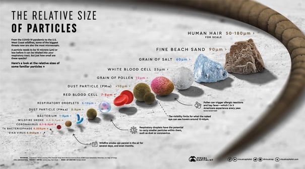 Infographic showing the relative size of particles around us