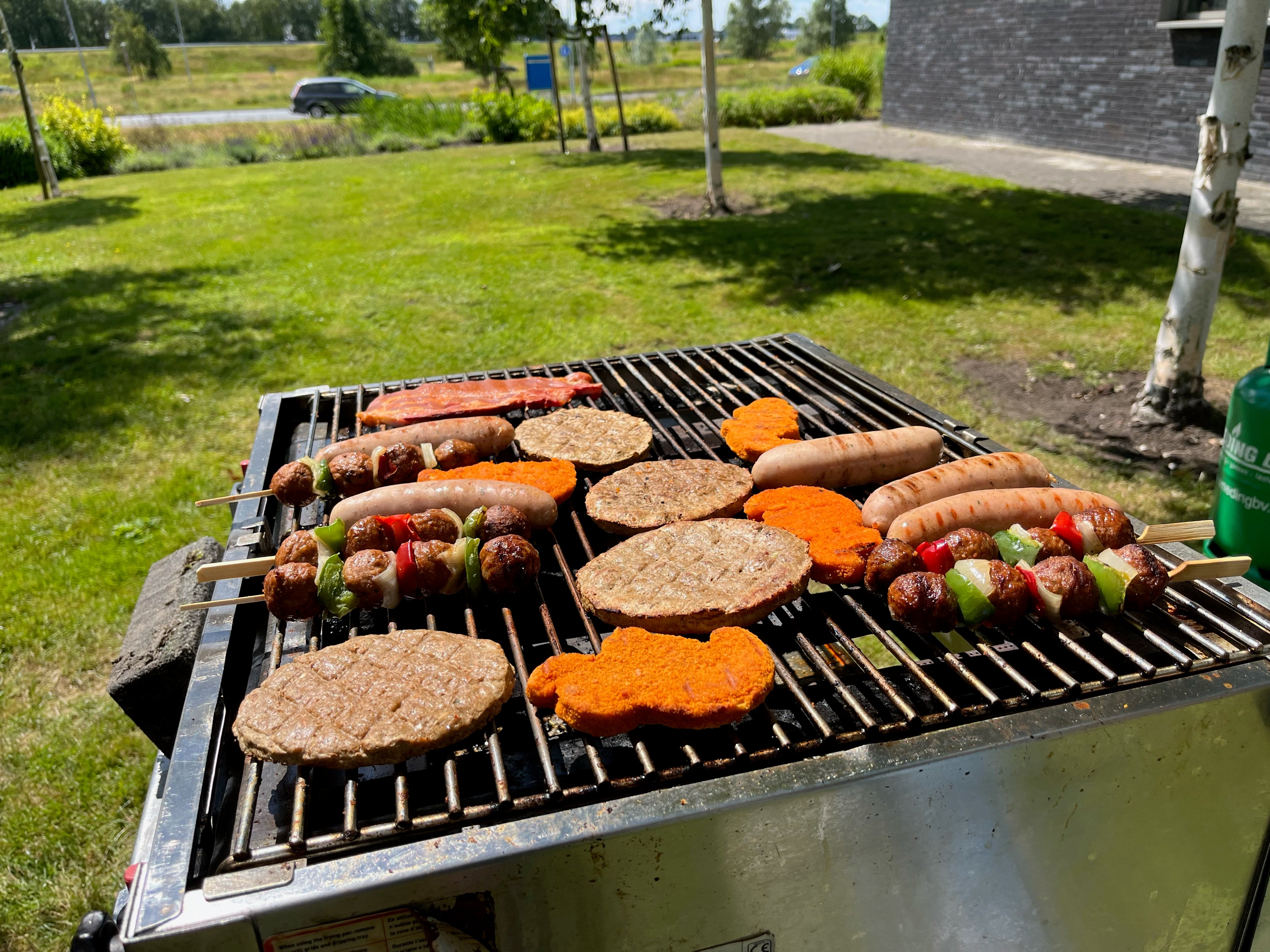 Omnidots BBQ