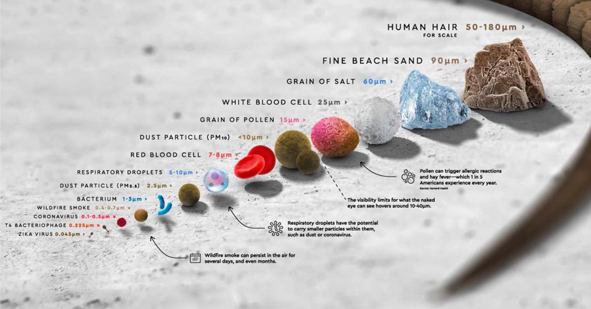 The relative size of particles