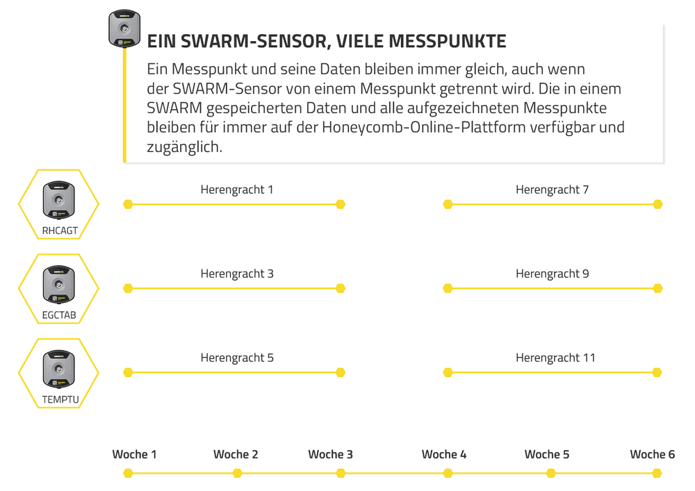 Infografik Zeitleiste